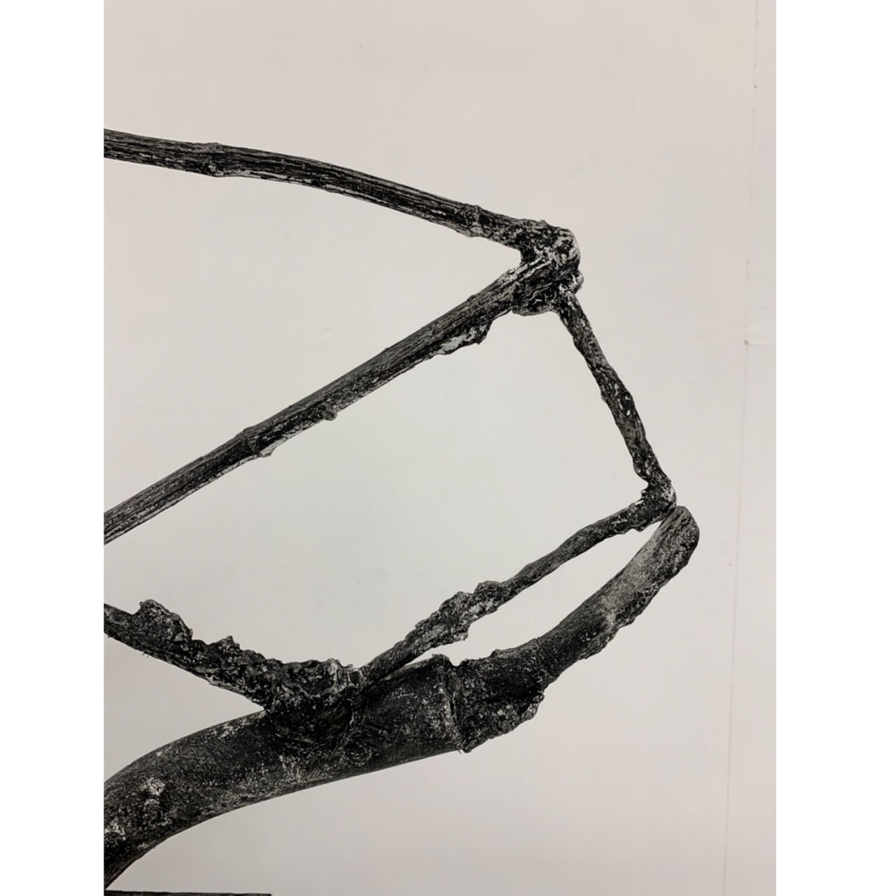 2_